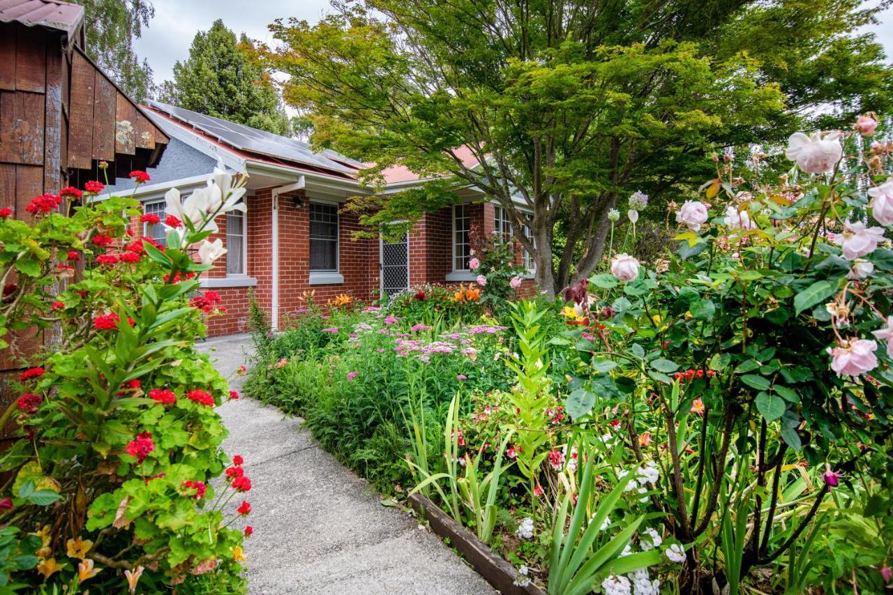 Alexandria Bed And Breakfast Wynyard Exteriér fotografie